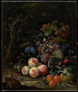 Stilleven met Fruit, Bladeren en Insecten, c.1669